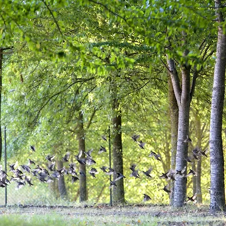 6 Bedroom Beautiful In Treia Ferienhaus *